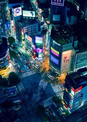 Shibuya Crossing