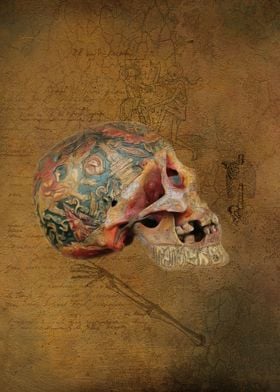 Tibetan Monk Skull