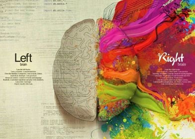 Human Brain painting