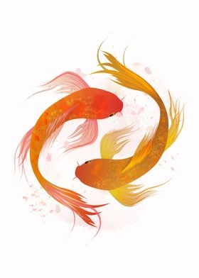 Koi