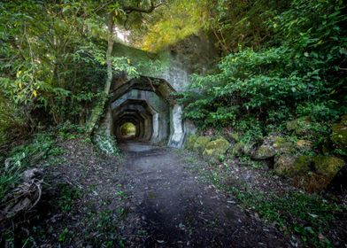 The Octagon Tunnel