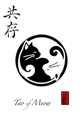 Yin Yang Cat