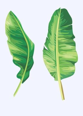 Banana Leaves