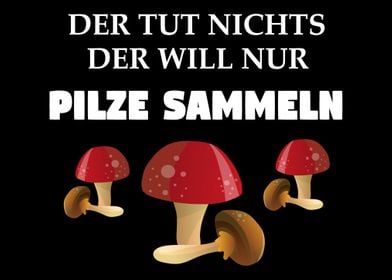 Pilze sammeln Pilzsammler