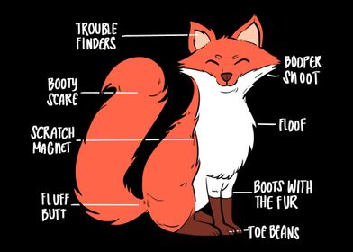 Anatomy Of A Fox Pet Lover