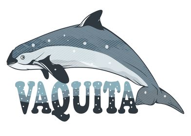 Vaquita