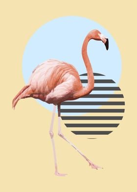 flamingo