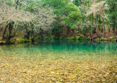 The emerald lake