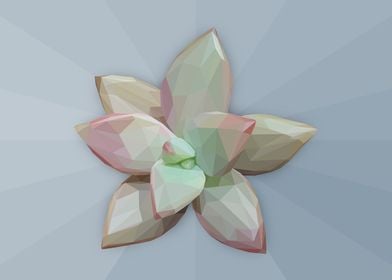 Low Poly Green Succulent