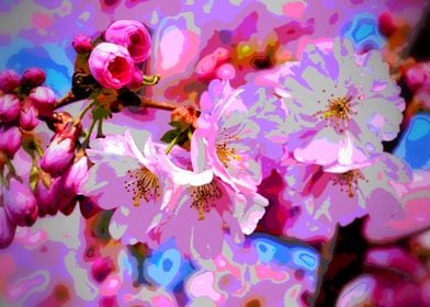 CherryBlossom Magic