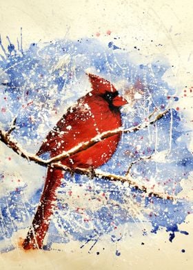 Cardinal in the snow