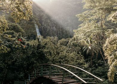 Sunlit Waterfall