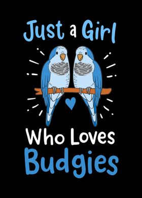 Budgie Budgerigar