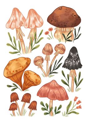 Mushrooms vol2 Small 01