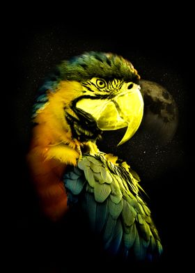 Luminous Parrot