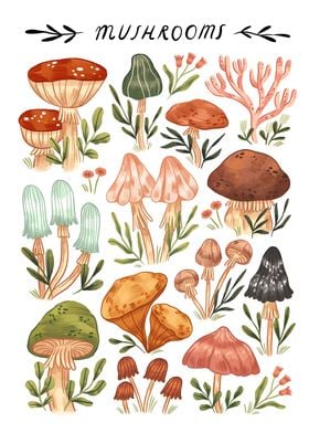 Mushrooms volume 2