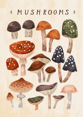 Mushrooms volume 1