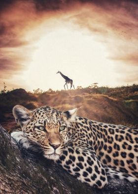 Jaguar and Giraffe savanna