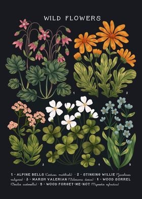 Wild Flowers vol 4  Dark