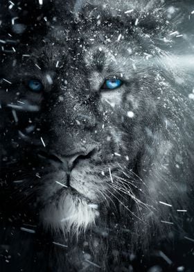 white lion snow blue eyes' Poster by MK studio | Displate