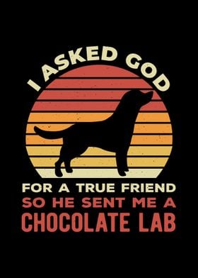 Funny Chocolate Lab