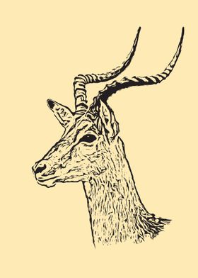 Antelope portrait
