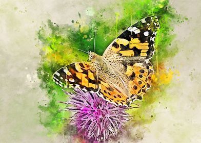 Stunning butterfly artwork