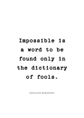 Dictionary For Fools Quote