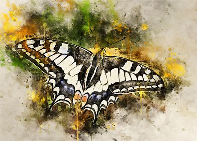 Beautiful butterfly art