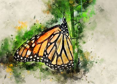 Beautiful butterfly art