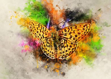 Leopard skin butterfly