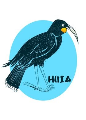 Huia NZ bird