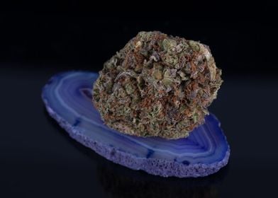 Blackberry Marijuana Blue