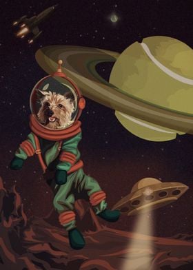 Spacedogo