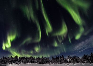 Aurora borealis 