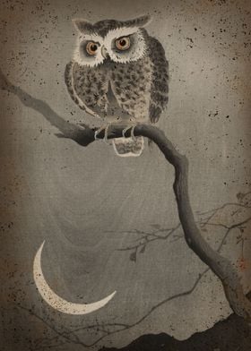 Sumi E Owl