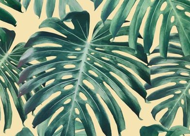 monstera pattern