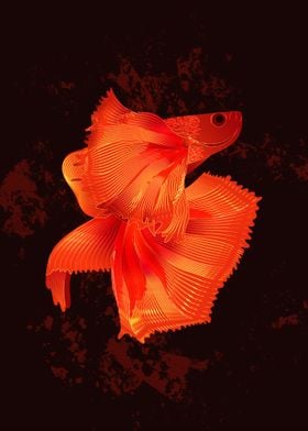 Siamese Fighting Fish 1