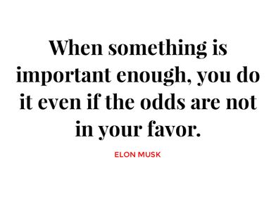 Elon Musk Quotes 