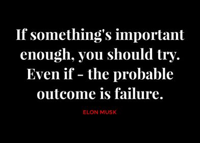 Elon Musk Quotes 