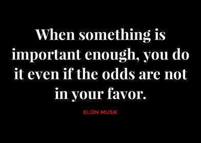 Elon Musk Quotes 