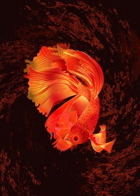 Siamese Fighting Fish