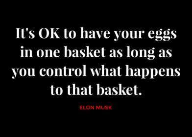 Elon Musk Quotes 
