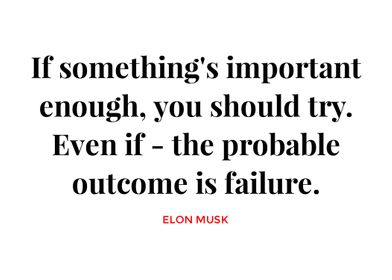 Elon Musk Quotes 