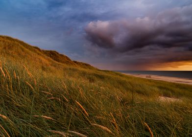 Dunes in the Sunset