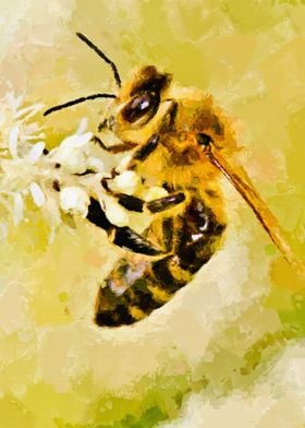 Honey bee flora