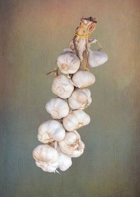 gsrlic hung in the hut