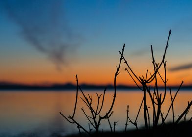 Bokeh branches