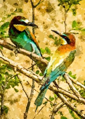 European Bee Eater