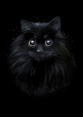 Black Cat